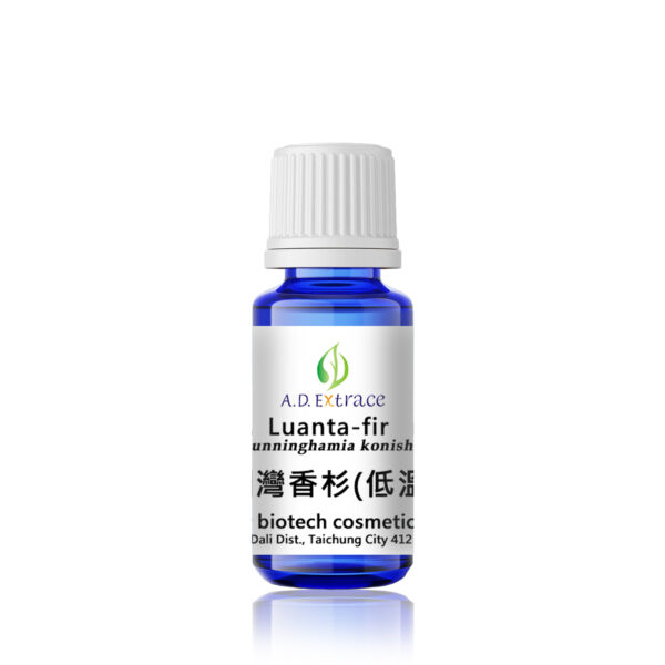 台灣香杉(低溫) 15ml：圖片 2