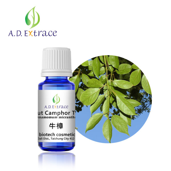 牛樟 10ml