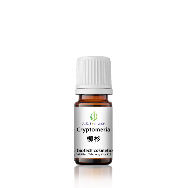 柳杉 5ml：圖片 2