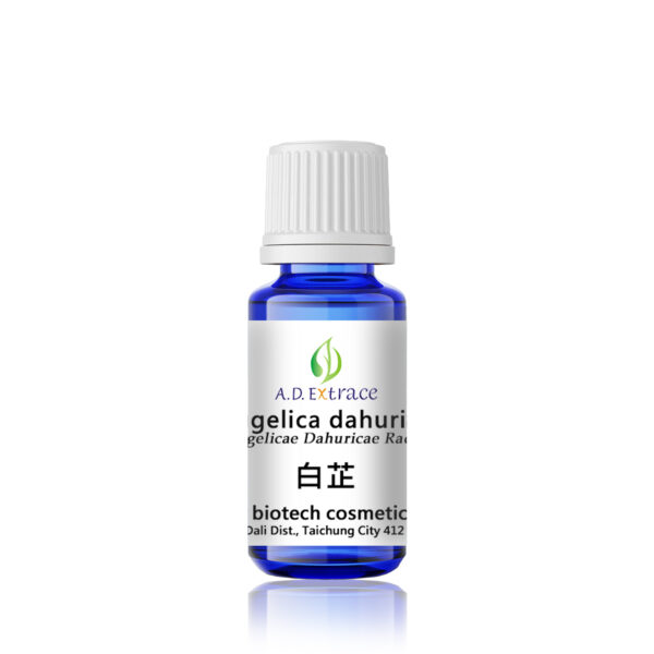 白芷 15ml：圖片 2