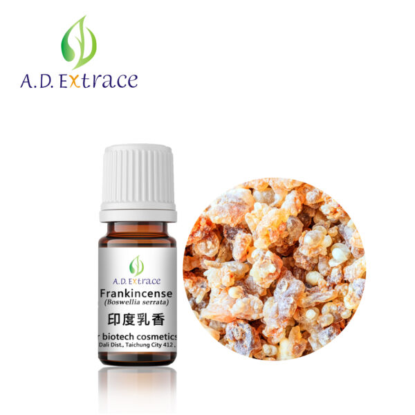 印度乳香 5ml